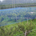 산업용 UV HDPE Anti Pigeon / Bird Netting